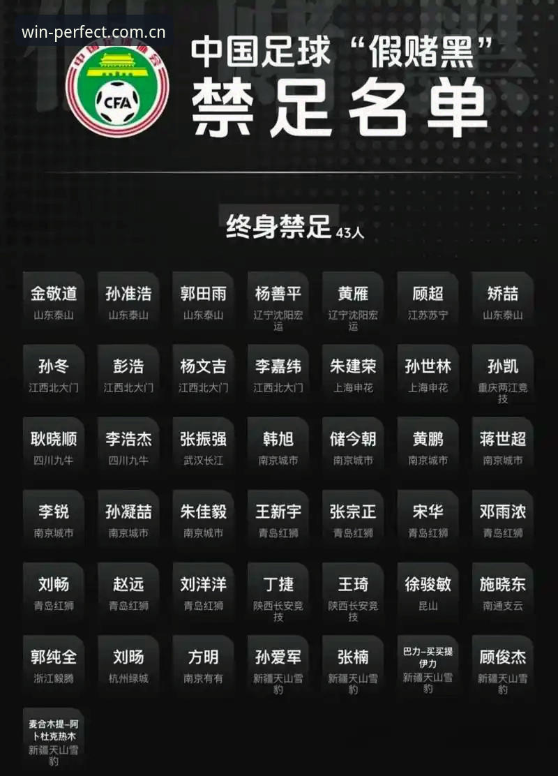 完美体育账号注册攻略 揭秘足协第三批禁足名单背后的足球行业治理真相